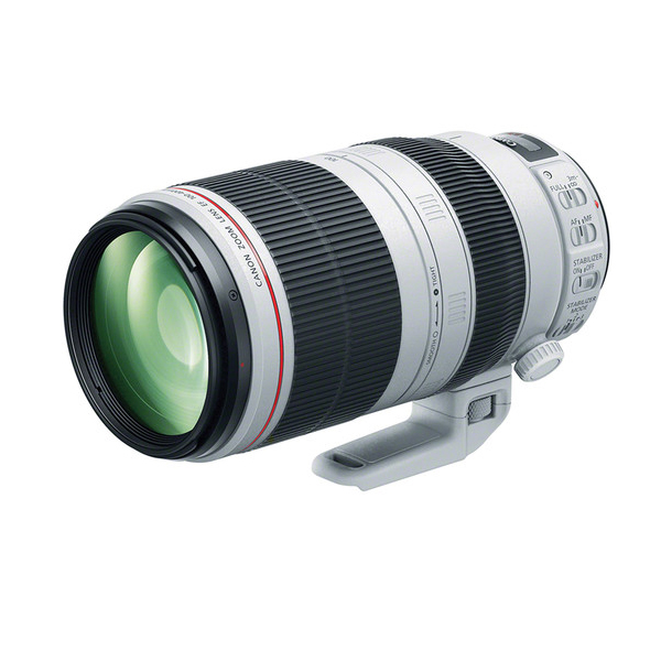 Canon EF 100-400mm F4.5-5.6L IS II USM 